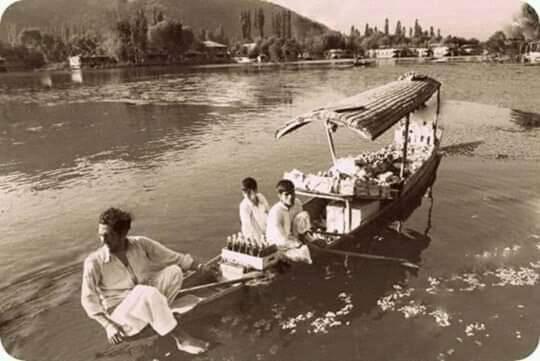Green View Group Of Houseboats Srīnagar Exteriér fotografie